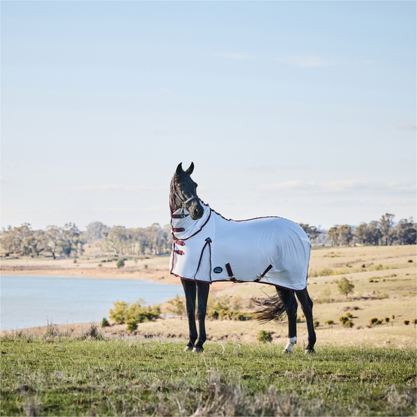 2026 WeatherBeeta Comfitec Essential Combo Fly Sheet 1029542001 - White / Burgunderrot